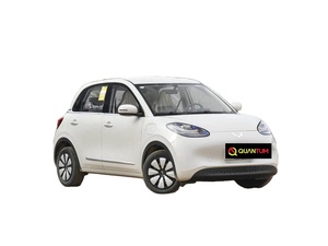 Wuling Bingo 2025 333km Joy Enjoy, Precio <span class=keywords><strong>de</strong></span> Fábrica, Gran Autonomía, Arranque Potente, Gran Oferta, Ideal para Conductores Jóvenes y Mujeres - Product Image 1