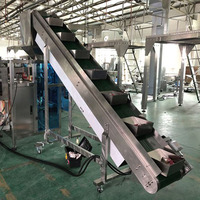 Peseuse linéaire à tête unique de haute précision pour poudres alimentaires et granulés – Machine de pesage quantitatif automatique
