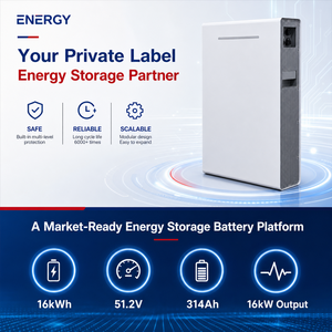 แบตเตอรี่ลิเธียม Lifepo4 ของ EU 51.2V 16kWh 300Ah 314ah แบตเตอรี่สำรองพลังงาน 48V 300Ah สำหรับระบบพลังงานแสงอาทิตย์ พร้อม CAN RS485 - Product Image 1