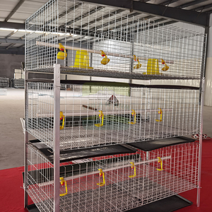Cage à poulets de type H économique, cage galvanisée, équipement d'élevage avicole automatique pour les petites et moyennes exploitations - Product Image 5