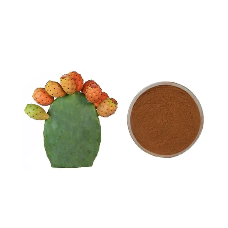 Reine natürliche Fabriklieferung natürlicher Opuntia Nopal Kaktus-Extraktpulver Hoodia Kaktus-Extrakt Flavon Kaktus Flavonoide