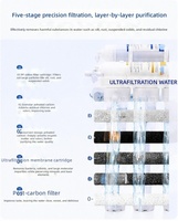 Purificateur d'eau à ultrafiltration 5 étapes avec fonction d'auto-nettoyage pour usage domestique, type comptoir, filtre à charbon actif