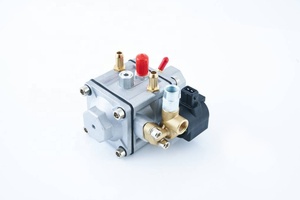 <span class=keywords><strong>NGV</strong></span> TR01 motocicletas Gas coche eléctrico Kit completo vapor LPG Gas carburador reductor regulador de presión de Gas Natural - Product Image 2