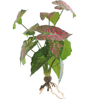 Spray de feuilles de caladium artificielles 44 cm, vert et violet, tige de feuillage tropical artificiel pour la décoration de la maison, du jardin et des mariages