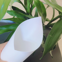 Feuille de plastique PP de qualité alimentaire blanche avec service de découpe pour dossiers, papeterie, fabrication sur mesure (tailles personnalisées)