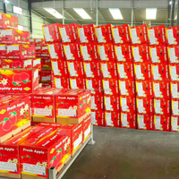Verse Fuji Appels Premium Kwaliteit Zoet en Knapperig Rood Fruit voor Groothandel Bulk Export Vanuit Chinese Fabriek Directe Levering