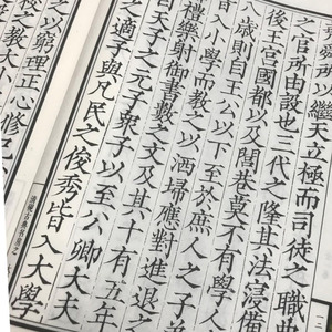 Qingyan Facsimile della Dinastia Song, Edizione Stampata a Blocchi, Libro Rilegato con Carta <span class=keywords><strong>Da</strong></span> Xue Zhang Ju Ji Zhu Xuan per Collezionisti - Product Image 3