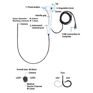 Vente chaude, équipement médical d'urétéroscopie flexible réutilisable, source de lumière, pélio-scopie, endoscope portable pour le diagnostic équin - Product Image 2