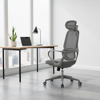 Chaise de bureau ergonomique moderne en maille pour le télétravail, certifiée avec vérin à gaz de classe 2, garantie 3 ans, base en acier, support lombaire réglable