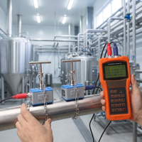 DLTEREN High Precision DN25-DN100 Clamp-On Handheld Portable Gas Flowmeter RS232 Variable Area OEM DTI-200H Metal 1 Year