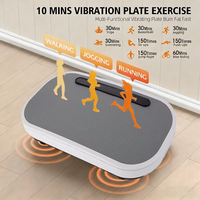 Plaque vibrante miniature colorée OEM en ABS pour le corps entier – Machine de vibration fine pour le remodelage corporel