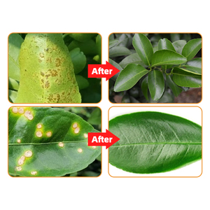 <span class=keywords><strong>Engrais</strong></span> Spécialisé à Haut Rendement <span class=keywords><strong>pour</strong></span> <span class=keywords><strong>Agrumes</strong></span>, <span class=keywords><strong>Engrais</strong></span> Organique <span class=keywords><strong>pour</strong></span> <span class=keywords><strong>Agrumes</strong></span>, <span class=keywords><strong>Engrais</strong></span> Soluble dans l'Eau - Product Image 3