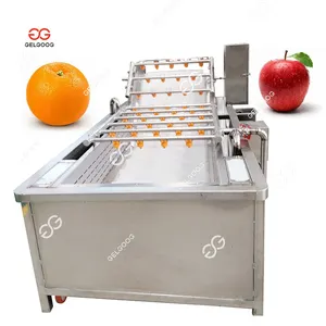 Vegetable Washer Machine GELGOOG Commercial Use Vegetable Washer Citrus Orange Fruit Washing Machine Price