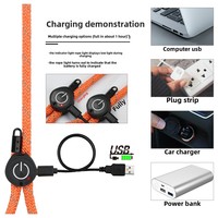 Nouveau LED lumineux chien marche Traction ceinture USB charge pratique Polyester P fournitures pour animaux de compagnie solide motif rembourré caractéristique rubans