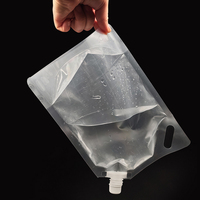 Sac à eau transparent avec bec verseur, OEM en gros, personnalisé, 750 ml, poche à eau en plastique pliable portable