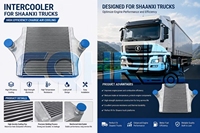 Tienda Oficial SHACMAN, Productos Originales de Alta Calidad, Conjunto de Enfriador de Aire de Admisión para Camiones SHACMAN M5000 DZ96259531081