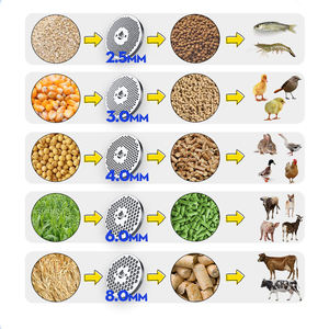 Máquina Eléctrica/Diésel <span class=keywords><strong>para</strong></span> Hacer Pellets de Alimento <span class=keywords><strong>para</strong></span> Aves de Corral, Molino Peletizador de Alimento <span class=keywords><strong>para</strong></span> Ganado, <span class=keywords><strong>para</strong></span> Alimentos <span class=keywords><strong>para</strong></span> Animales, Granjas Ganaderas - Product Image 5