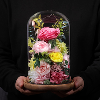 Cloche en verre transparente avec base, vitrine pour artisanat, plantes, lumières, succulentes, médailles, centre de table