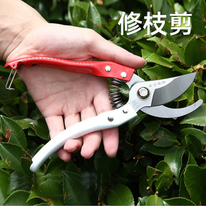 Red And White Handle Pruning <b>Shears</b> High Carbon Steel Bypass Garden <b>Tool</b> With Spring Mechanism Anti Slip Grip For Fruit Tree - Product Image 2