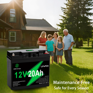 高性能12v锂离子电池组，带BMS保护LiFePO4 5Ah 7Ah 12Ah 20Ah 30Ah 50Ah 100Ah 200Ah电池 - Product Image 6