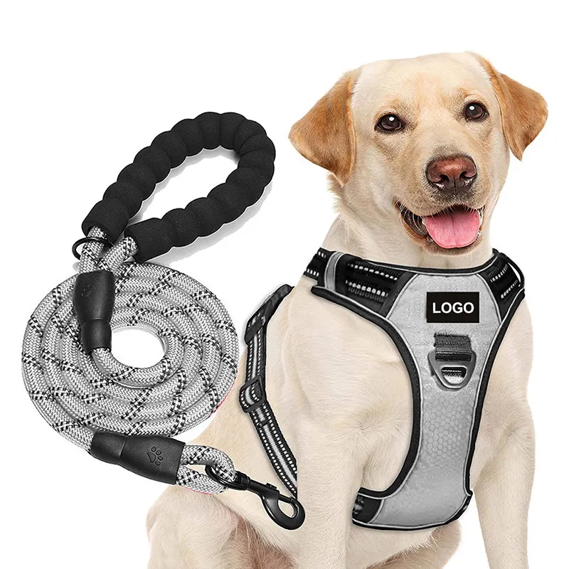 OKKPETS Hot Sale Oem/Odm Soccer Football Texture Dog Harness Leash Set Dog Leash Pet Harness Set For training