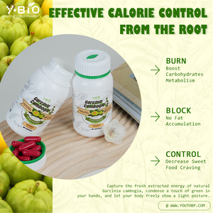 Kapsul Garcinia Cambogia Alami OEM&ODM 60% Asam Hidroksisitrat Pengatur Berat Badan Detoks untuk Membentuk Tubuh Stok Tersedia - Product Image 3