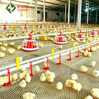Équipement automatique pour élevage de volailles, système d'élevage de poulets avec mangeoire à plateau et abreuvoir à tétine pour mangeoires à animaux