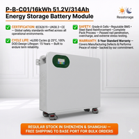 Batterie LiFePO4 pour rack de serveur, 51,2 V 314 Ah 16 kWh, stockage d'énergie avec CAN pour système hybride télécom/réseau, CE RoHS