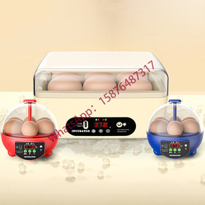 휴대용 자동 인큐베이터, 6 알 인큐베이터 홈 치킨 인큐베이터 - Product Image 1