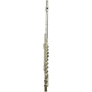 Flûte à bec nickelée sur mesure à 17 trous, clé Do majeur, pour étudiants, débutants, examens et performances professionnelles – Instrument de musique - Product Image 1