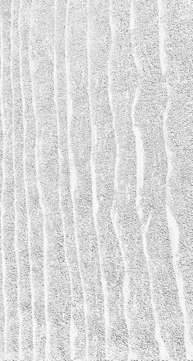 Nouvelle terre éperonnée 1