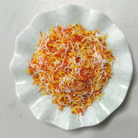 Pan rallado de trigo PANKO colorido en polvo para alimentos fritos, empaque a granel