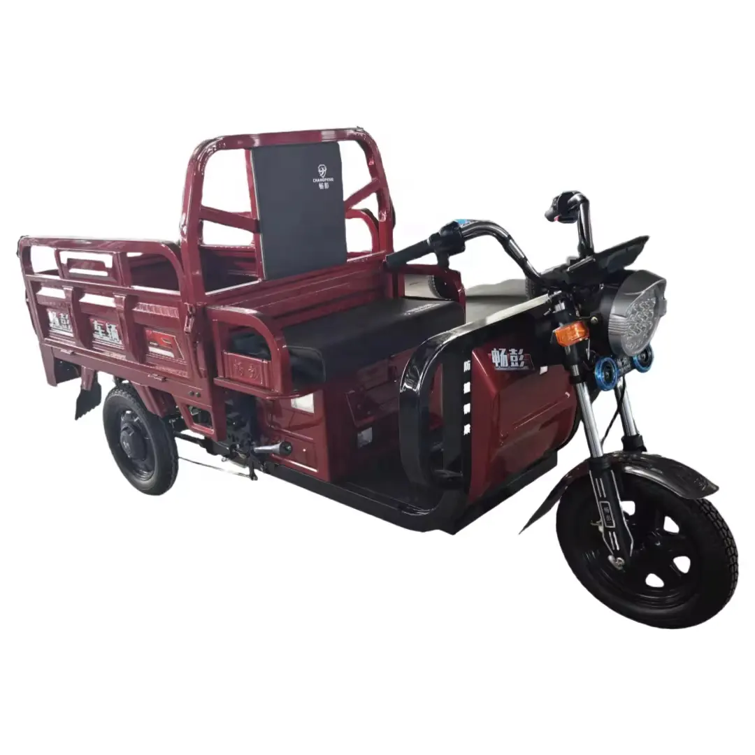 베스트 셀러 전기 세발 자전거화물 모터 세발 자전거 전기 트럭