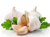 Poudre aromatisante à l'ail, essence concentrée de qualité alimentaire, OEM ODM acceptés pour assaisonnements complexes, biscuits, snacks