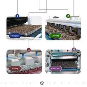 Semoir uniforme pour plateaux de semis de légumes et de fleurs, idéal pour la laitue, l'aubergine et le pétunia - Product Image 4