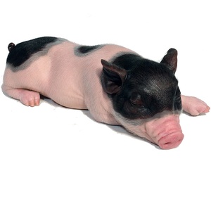 Modelli in Silicone e Fibra di Vetro di Animali a Grandezza Naturale di Qualità Museale, Mini Statue per Decorazione da Scrivania e Parchi Avventura - Product Image 6