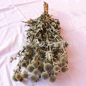 Bán buôn trang trí với bảo quản thông và cây Bách Hoa khô màu xanh lá cây cây lá kim cây cho cây trang trí - Product Image 2