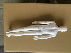 एक्यूपंक्चर बिंदु पेशी शरीर रचना विज्ञान मानव शरीर एक्यूपंक्चर मॉडल 60CM - Product Image 5