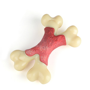 ของเล่นเคี้ยวสำหรับสัตว์เลี้ยงแบบข้ามพรมแดน รูปทรงกระดูกคู่ รสเบคอน ของเล่นสำหรับสุนัขช่วยลดอาการปวดฟัน ทำจากไนลอนและยางธรรมชาติ ขนาด 17.8x12.7x4.7 ซม. - Product Image 2