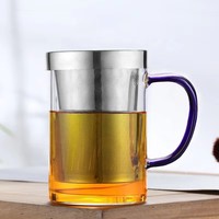 Taza de Té de Vidrio de Borosilicato de Alta Calidad de 500 ml con Elegante Apariencia, con Infusor de Acero Inoxidable y Tapa