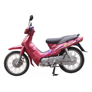 อะไหล่ประกอบเครื่องยนต์มอเตอร์ไซค์ OEM YB110 รุ่นเครื่องยนต์แนวนอน ระบายความร้อนด้วยอากาศ 110 ซีซี 4 จังหวะ OEM YB110 มอเตอร์ไซค์แนวนอน - Product Image 6