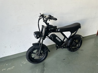 Bicicletas Eléctricas Personalizadas al por Mayor, Bicicleta Eléctrica de 1000w, Motocicleta Eléctrica, Bicicleta para Adultos y Niños