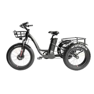 새로운 도착 화물 알루미늄 리튬 배터리 전자 자전거 디스크 브레이크 48V 500W 3 바퀴 24 20 인치 지방 타이어 전기 자전거