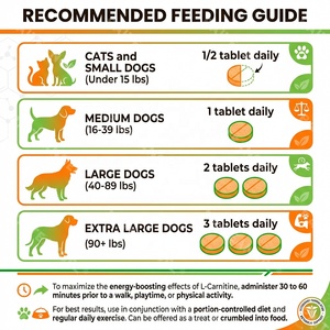 Comprimés de soutien métabolique pour animaux de compagnie de qualité supérieure, supplément de gestion du poids à base de L-Carnitine pour chiens et chats, OEM - Product Image 2