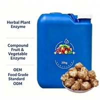 Extrait d'enzyme de topinambour liquide 25 kg, matière première fermentée d'inuline de topinambour en vrac