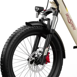 Vélo cargo électrique à 3 roues Onesport OT30 Pro, batterie au lithium sans balais, moteur de moyeu arrière, porte-bagages extra large, vélo de livraison - Product Image 6