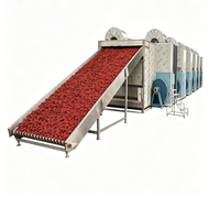 Volledig automatische continue banddroger, hoog-efficiënte droogapparatuur voor paprika's, groenten en fruit