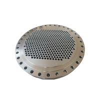 Plaque de tube en acier au carbone, DN400, épaisseur 30 mm, norme DIN, plaque de tube de chaudière, durable, personnalisable, haute performance