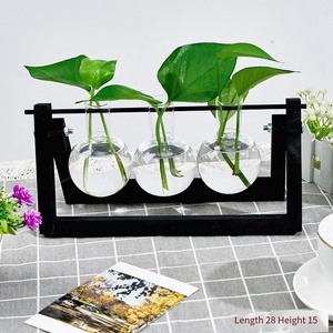 Colorful Wooden Stand Terrarium for Home Garden Desktop Plant Propagation Station with Bulb Glass Vase Gift Lovers - Product Image 1
