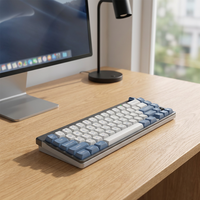 Clavier compact OEM mécanique triple mode 66 touches RGB 7 modes 2.4G/BT/Filaire USB/Type-C portable pour Gaming/Bureau